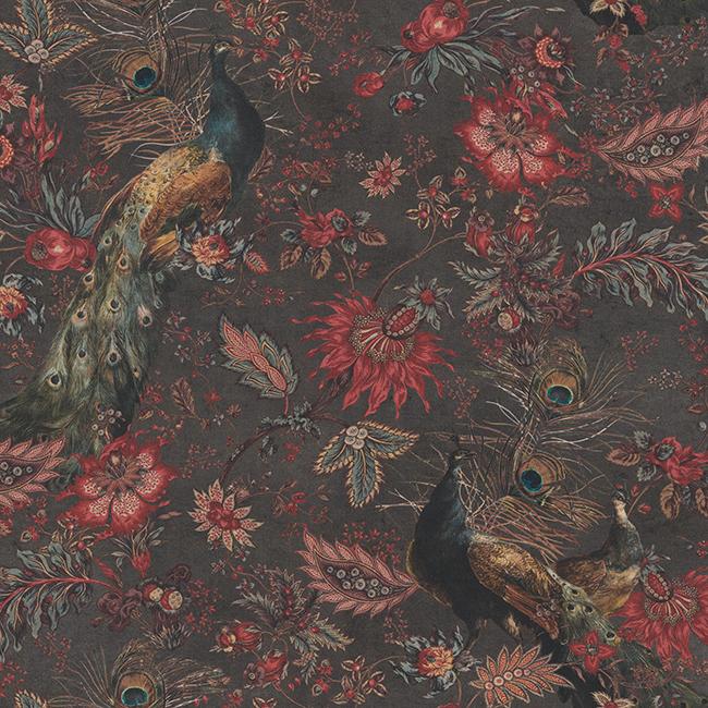 Half Panama Premium, Pfau